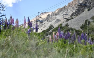 ¿Verano en Esquel? Tres actividades que no podés dejar de hacer