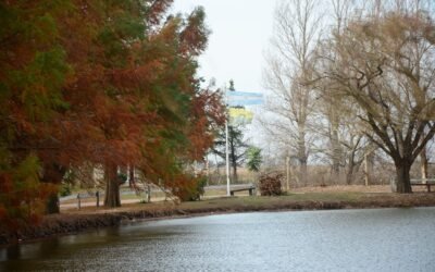 Descubre el Tesoro Natural de Sacanta: La Lagunita, un paraíso en Córdoba