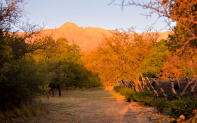 Marzo en San Javier y Yacanto: Naturaleza, Arte y Descuentos