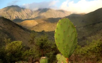 La Población: Tranquilidad en Traslasierra