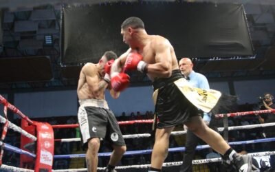 Ring Fight Night brilló en Córdoba con Casal y Bea