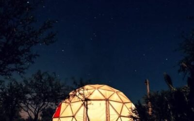 La historia de tres proyectos que nacieron por amor a la naturaleza