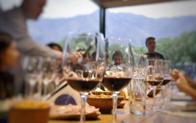 Premium Wines Experience 2025 consolidó a Córdoba como capital del vino