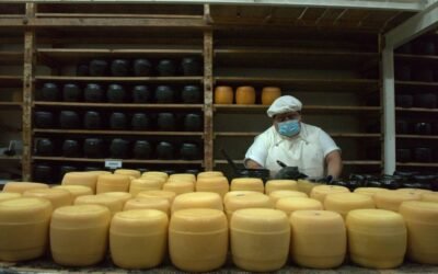 Córdoba impulsa los Caminos del Queso