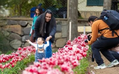 Huinganco Florece cerró con más de 5.000 visitas