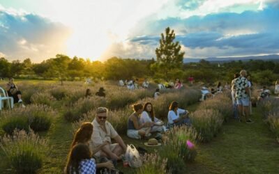 Islavanda: una experiencia entre lavandas en Los Reartes