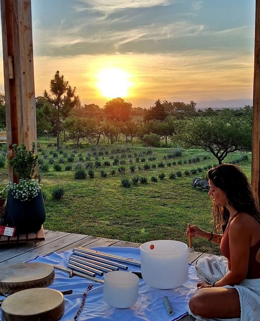 Islavanda: una experiencia entre lavandas en Los Reartes - imagen 2