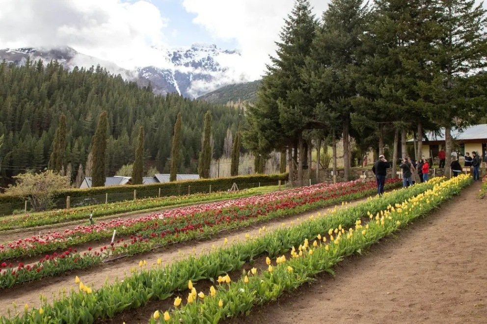 Huinganco Florece cerró con más de 5.000 visitas - imagen 4