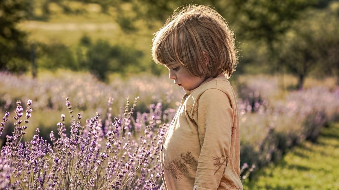 Islavanda: una experiencia entre lavandas en Los Reartes - imagen 1